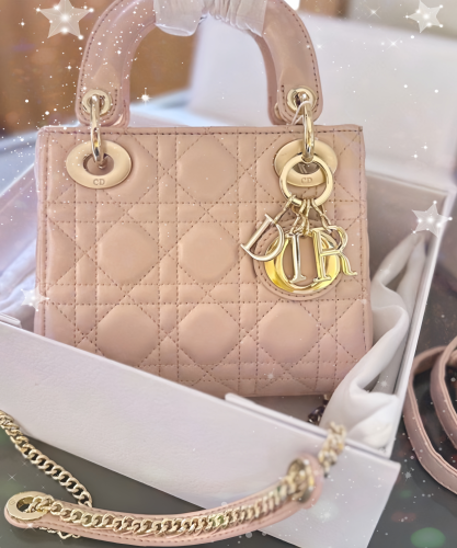 Mini Lady Dior Bag photo review