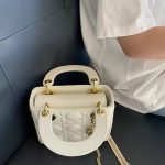 Mini Lady Dior Bag photo review